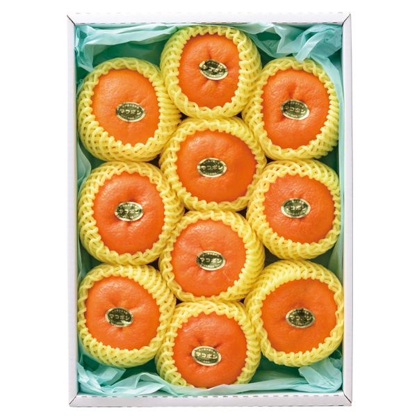  ͂ʎfirm }R|y͂ԁF12{`z